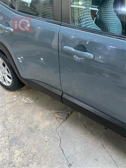 جيب رينيجيد